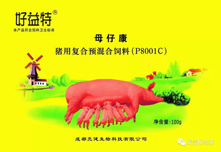 一次性燒烤網(wǎng)車間